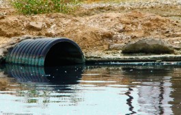 عدم تصفیه فاضلاب احتمال آلودگی آب «نایسر» را افزایش می دهد
