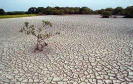 عبور از بحران خشکسالی هرمزگان با تولید آب شرجی